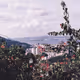 35mm Colorful Film