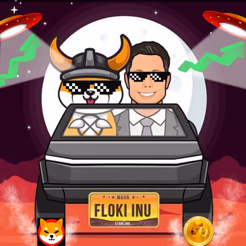 FLOKI INU - Where We're Going We Don't Need Doge