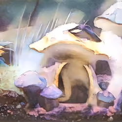 Shroom life