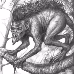 Chupacabra Reimagined : Edition 1 of 1