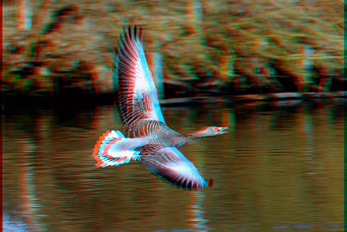 Item #43207901931937523229026562993049456947938366137062832064513938648344528158721 Media