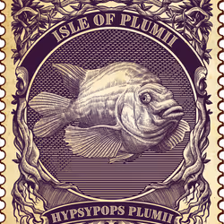 77066565523953883044635257593168345925180923812569263754514071183684811096065