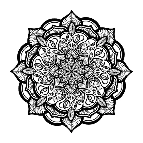 Moving Monochrome Mandalas