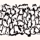 113576142733945610880712919145756443352564721981012390748167270611492259495937