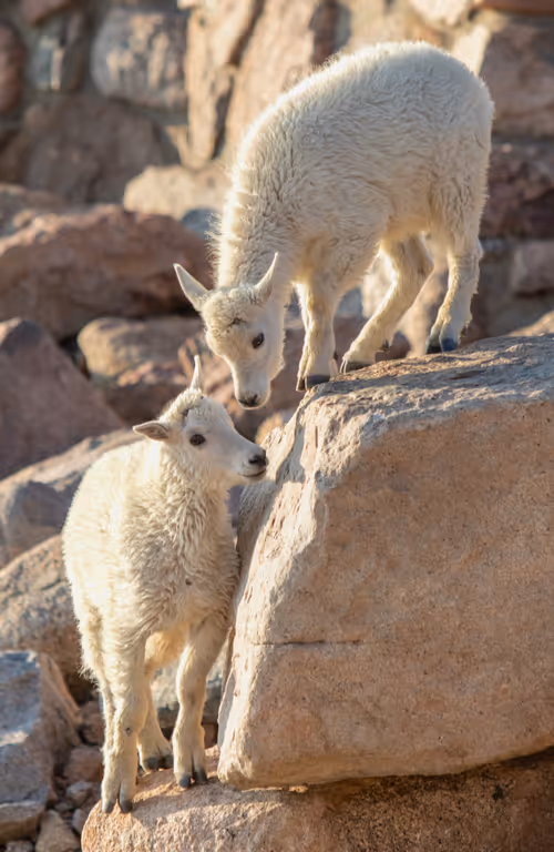 Item #19207338348144225692080396183640865546201068415206893468727031832174164705281 Media