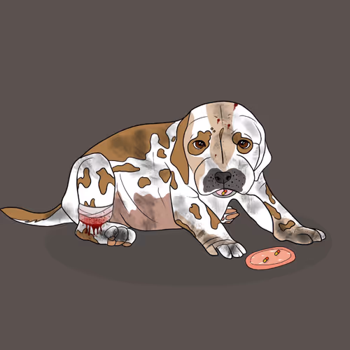 Item #18929025953091685879740265421444029621973902778044225700407145445112913330177 Media