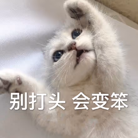 aaa6