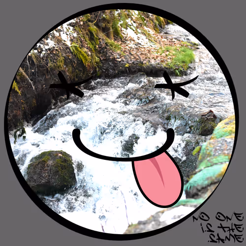 Item #51873618375732866653834179613561209928070521070490563868616644559940163207169 Media