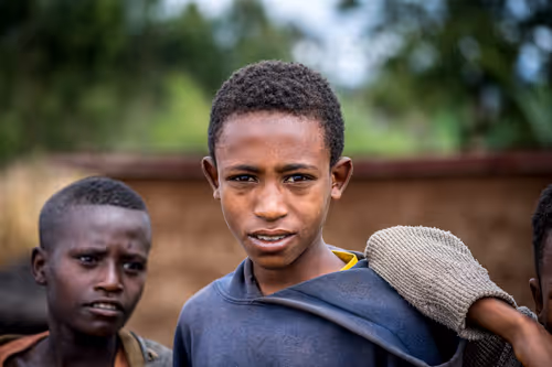 Item #50027882237522295676960542276708360859068113986169674979910833984470538780673 Media