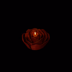 Fire of Love