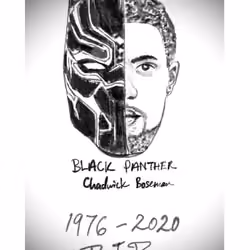 Black Panther - 1976-2020