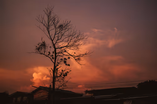 Item #19933179109955283826433224080904721000141254705246350990060094061512637808641 Media