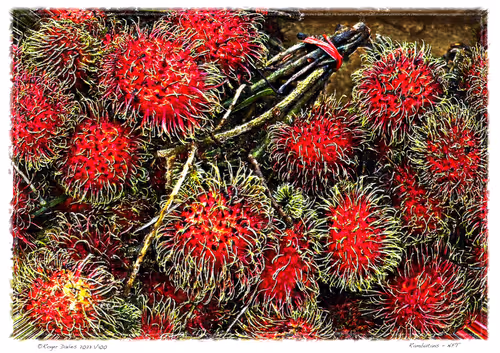 Item #113829610119937179277145653237989536661159515398728099625049874744727474012260 Media