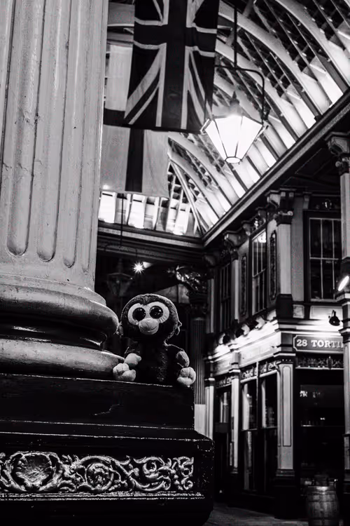 Item #78523124948883737191824425685370443041181342440538518293301156649272946458625 Media