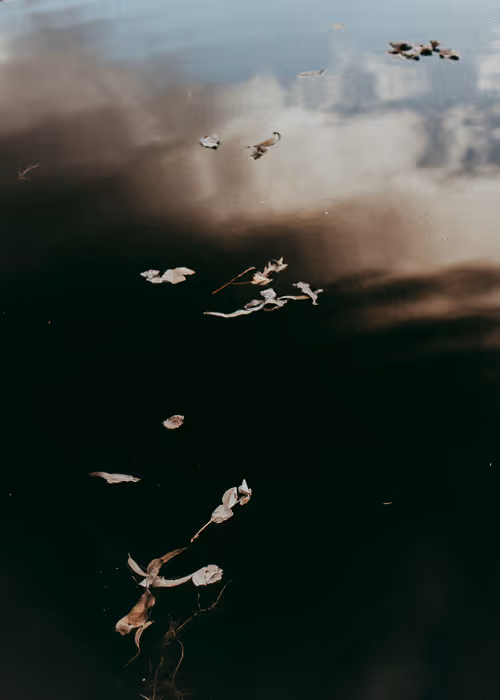 Item #69040073891214831280886932424473030374567714809406336965471043843590239289345 Media