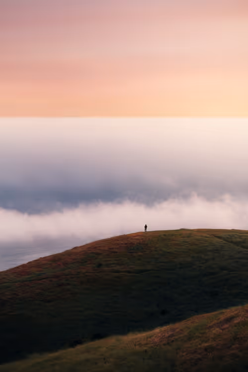 Item #91533776349707107334996359426163394312914568393480287964012023544886528573441 Media