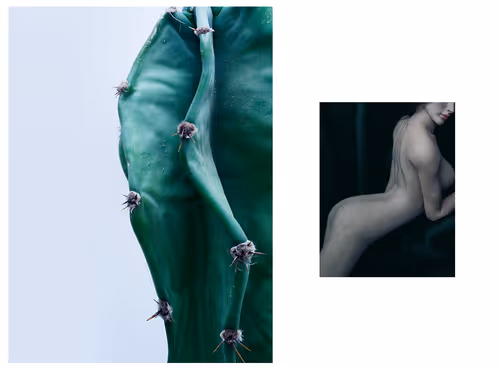 Item #37787359946517531250562291799525874448910537892577059247393481143188289748993 Media