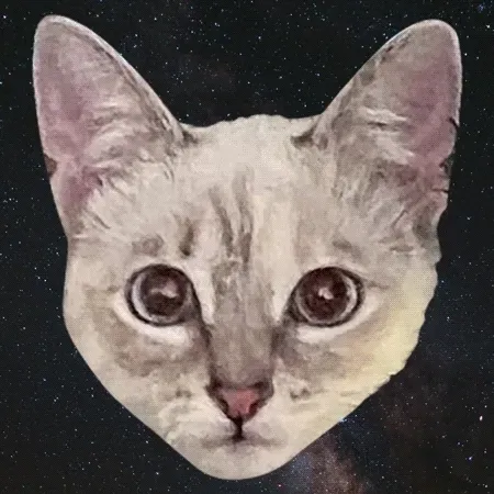 fopdoodle Collection