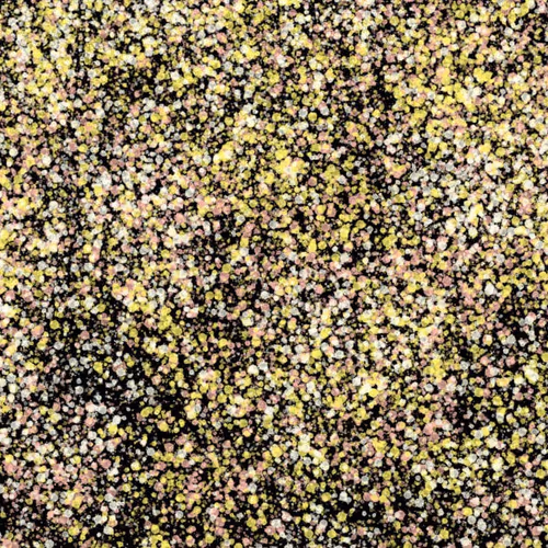 944858660688572096584618472555991747686703840338442188877309631346826543105