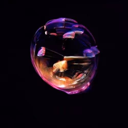 Lifeinbubble 9nMOU4wimF