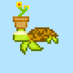 Turtle #19