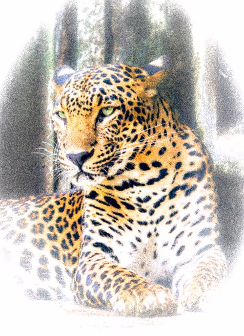 Item #112706814490930413132795555787302569515543672113453404084317514464504909398017 Media