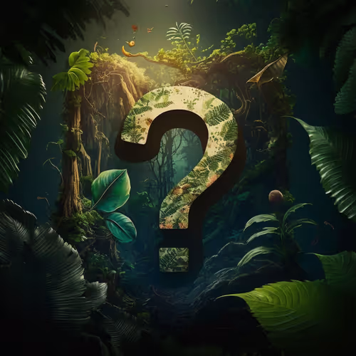 Item #1201272490545236785564677026725483382437645072126356407000541419973782798337 Media