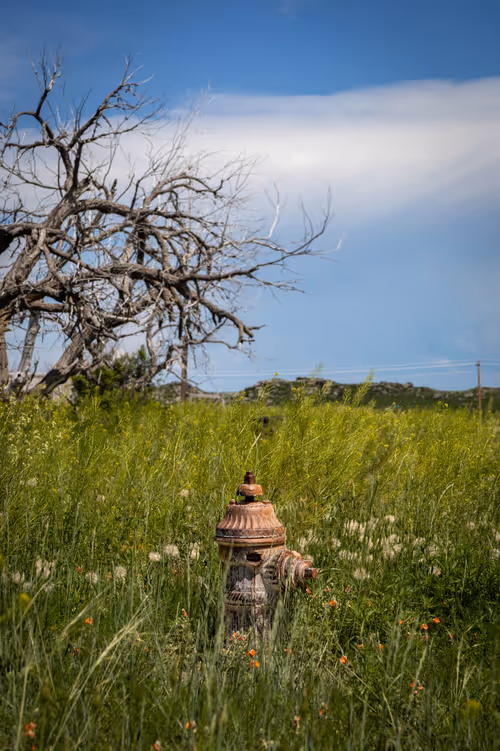 Item #19684374529110288056520570276703370007863893692966726326193838173468999286785 Media