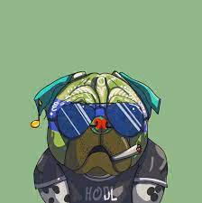 Untitled Collection #2588872731