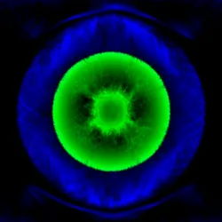 51929734946411346289540790635765095060363125039145709683616697243119124480001