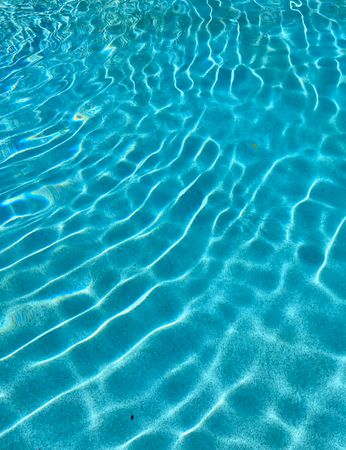 Item #41013704286635162959004487776095067176603519769359421915548602740590342307841 Media