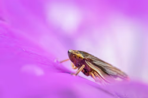 Item #11893448461842202167923125391346137616384292588036434545660885345140540964865 Media