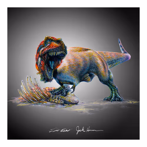 Item #22582927822880265950669941219355019494534003366966592492782895285252384620545 Media