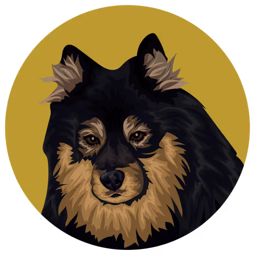 Item #54766349128176429303044182404049584425310907481653304317570414015594727735297 Media