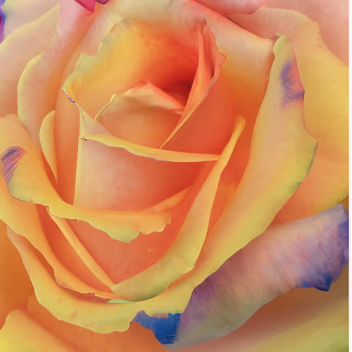 Item #96886935191127696535410464763981420974710720239925028244005018034893666385921 Media