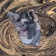 53180631642456764738139299674940583640479914081960747744151189775072238764033