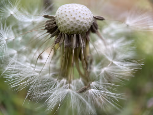 Item #101798116254510798330486236990451841615541533753866395116378150726798367784961 Media