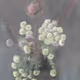 105689615352024524571302108059945755589388555051032516637693283540558120222721