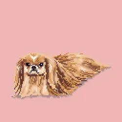 13080766421190555612307919645379576803990371461875354718024555265161978445829