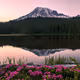 Mount Rainier Collection