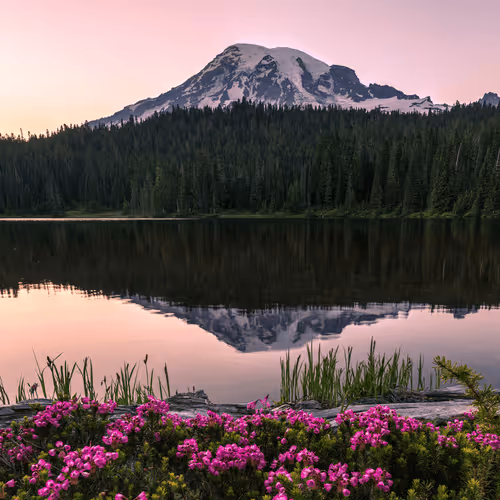 Mount Rainier Collection