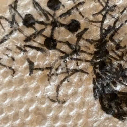 ilk in the ink - napkin art