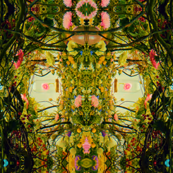 54411499690937640101772425138653578544162397958311670010148906859881098641409