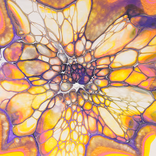 Item #93517858934538610296799104720857224042243540248850289661824237418792701919233 Media