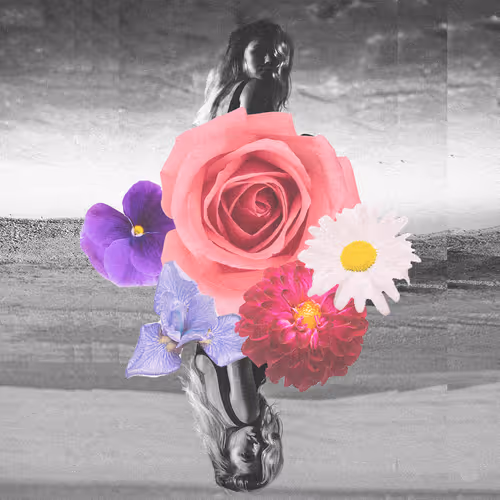 27333386789816835344148906342580632467599722745804748218939524084511495159809