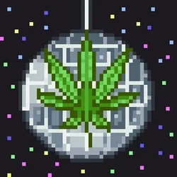 Disco Glitter