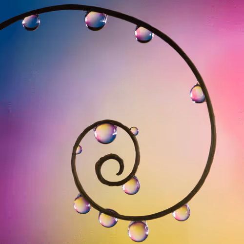 Editions by Jo Ottey Photography