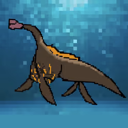 Black ThalassoDickon #19