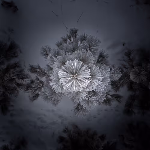 Item #55396979496544417469792883121952566872796951856674190010796140014853746065409 Media