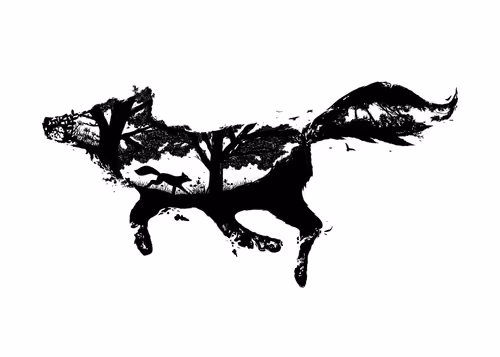 Item #63928277069333023758072606313318946969695348667713168029701733599878328614922 Media